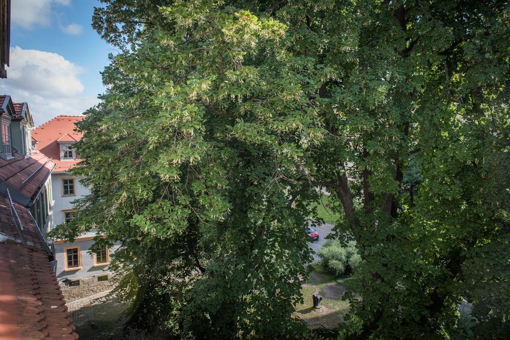 "Goethezimmer" Ferienwohnung Und Zimmer Am Burgplatz Weimar  Eksteriør bilde